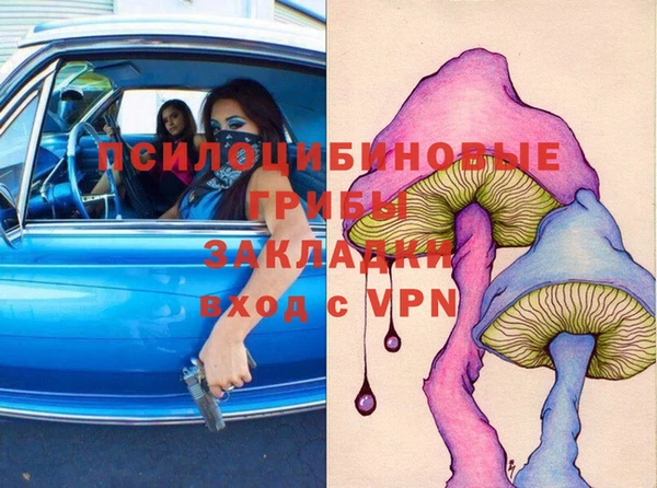 дживик Дмитров
