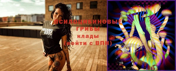 прущие крисы Дмитриев