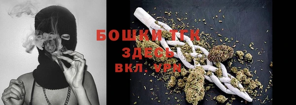 дживик Дмитров